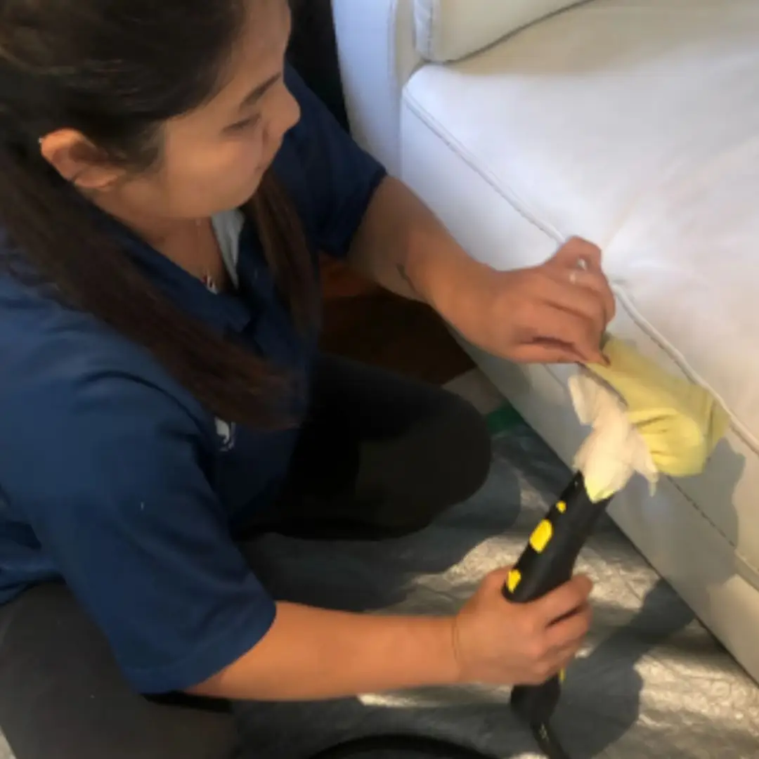 Hot-water extraction recovering soil and dissolved allergens from a sofa cushion