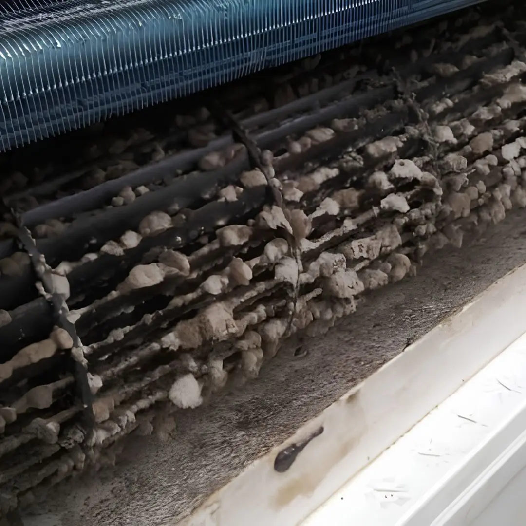 Mould and dust built up inside a Bali air-conditioning unit